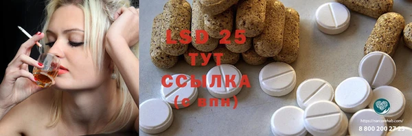 метадон Богданович
