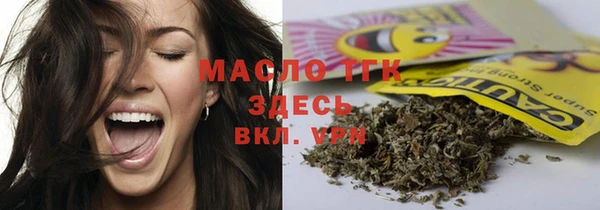 метадон Богданович