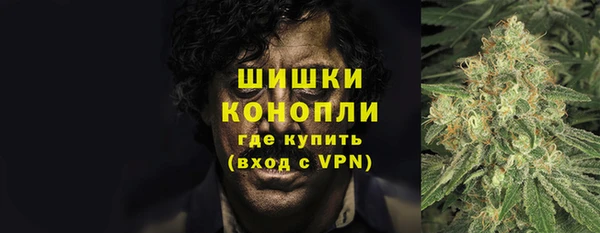 соль ск Бородино
