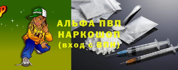 метадон Богданович