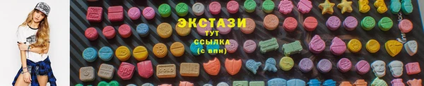 индика Бугульма