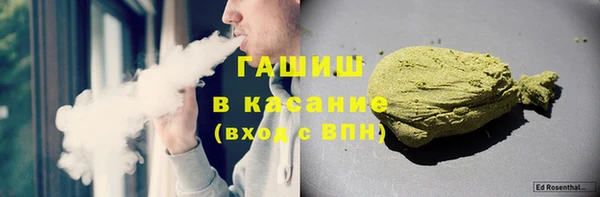 индика Бугульма