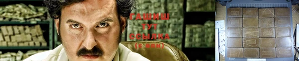 Альфа ПВП Гатчина
