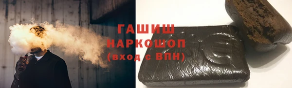 PSILOCYBIN Галич
