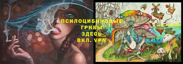ECSTASY Богородск