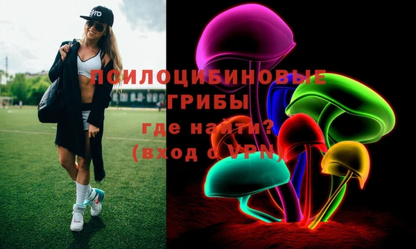 соль ск Бородино