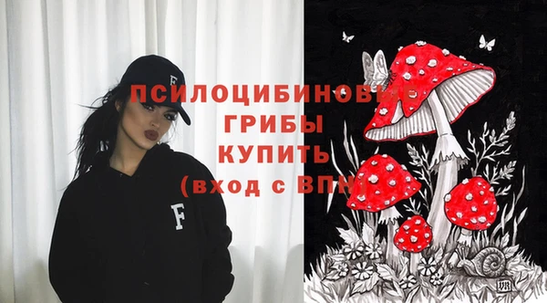 соль ск Бородино