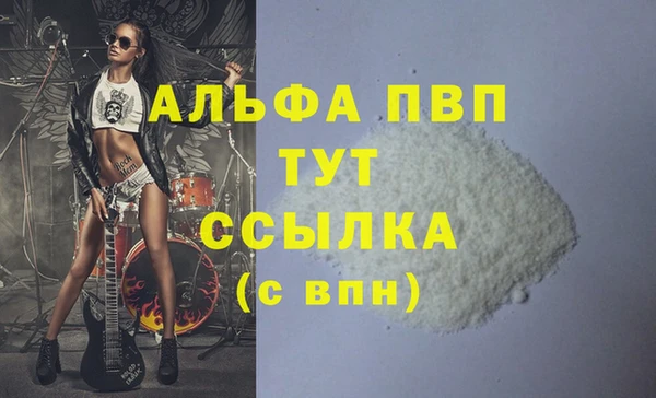 метадон Богданович