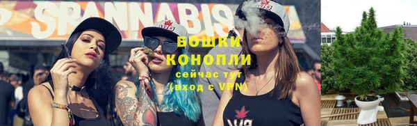 метадон Богданович