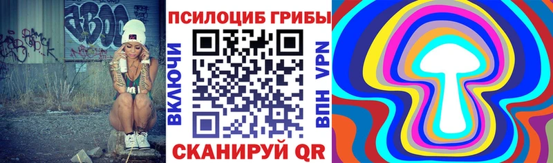 где купить   Благодарный  Псилоцибиновые грибы мицелий 